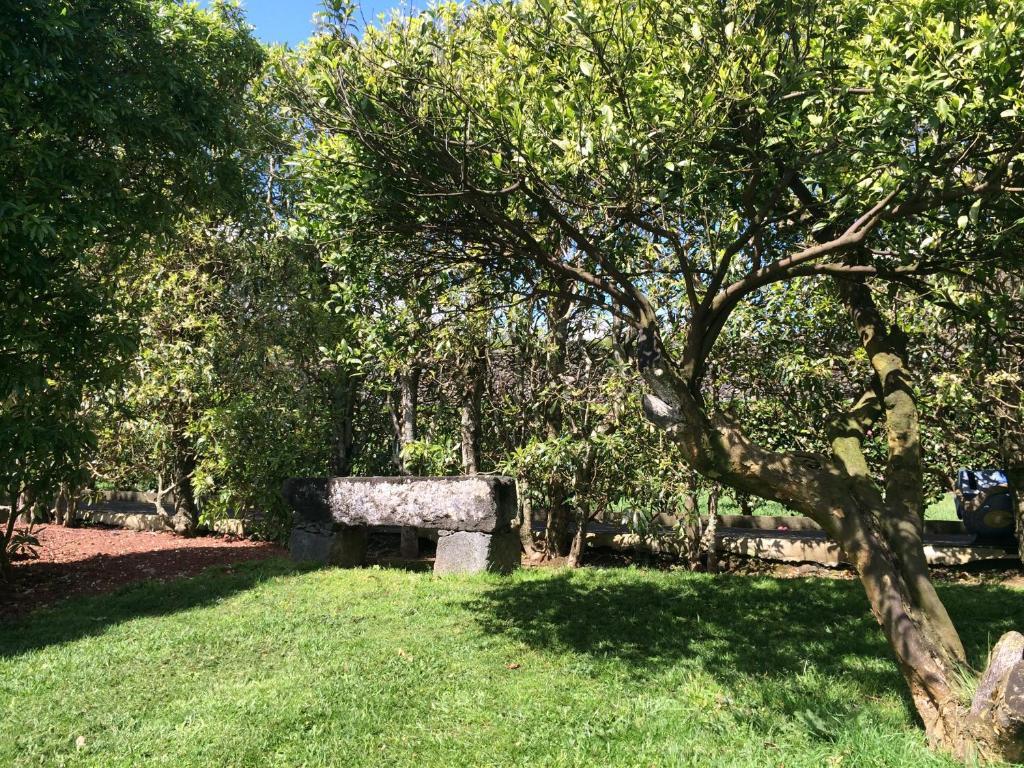 Villa Quinta de Santa Clara Ponta Delgada Esterno foto