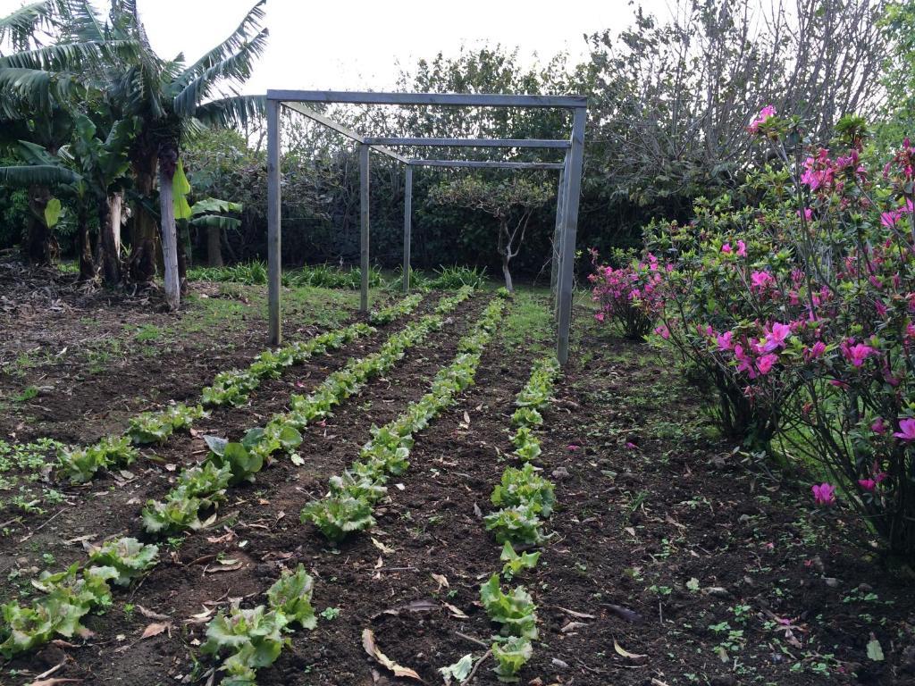 Villa Quinta de Santa Clara Ponta Delgada Esterno foto